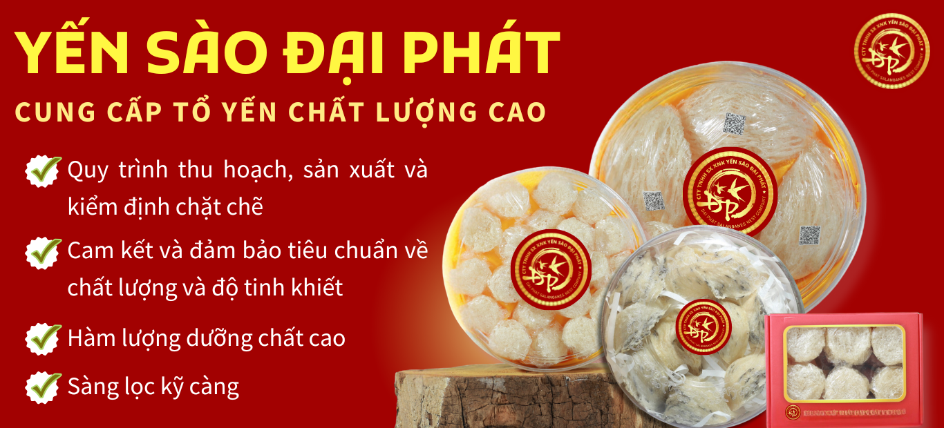 Yến Đại Phát - Tổ Yến
