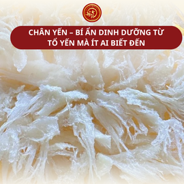 CHÂN YẾN – BÍ ẨN DINH DƯỠNG TỪ TỔ YẾN MÀ ÍT AI BIẾT ĐẾN