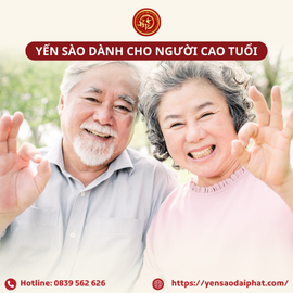 YẾN SÀO CHO NGƯỜI CAO TUỔI: LỢI ÍCH, CÁCH DÙNG VÀ LƯU Ý