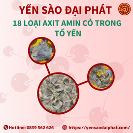 KHÁM PHÁ TẤT TẦN TẬT THÔNG TIN VỀ YẾN SÀO