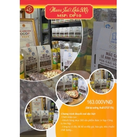 MACCA XUẤT KHẨU THƯỢNG HẠNG 2026