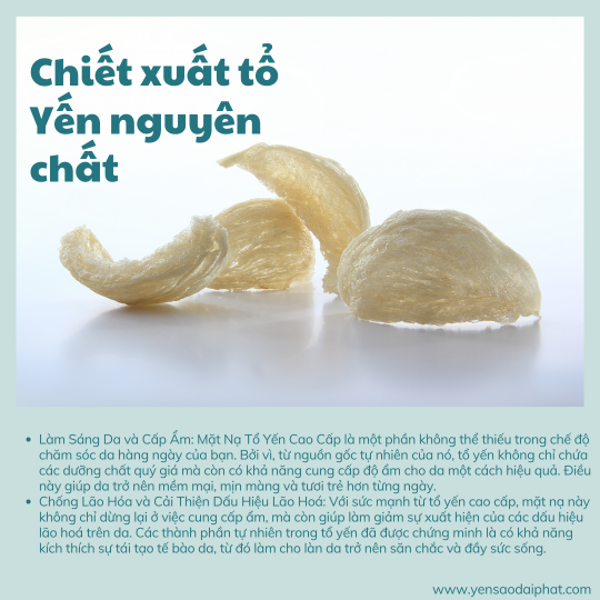 Mặt Nạ Bird's Nest