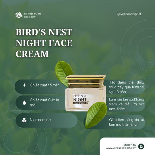 Kem Dưỡng Da Ban Đêm Bird's Nest
